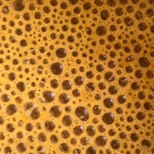 Bulletproof Shrooms Coffee - Wunder Workshop