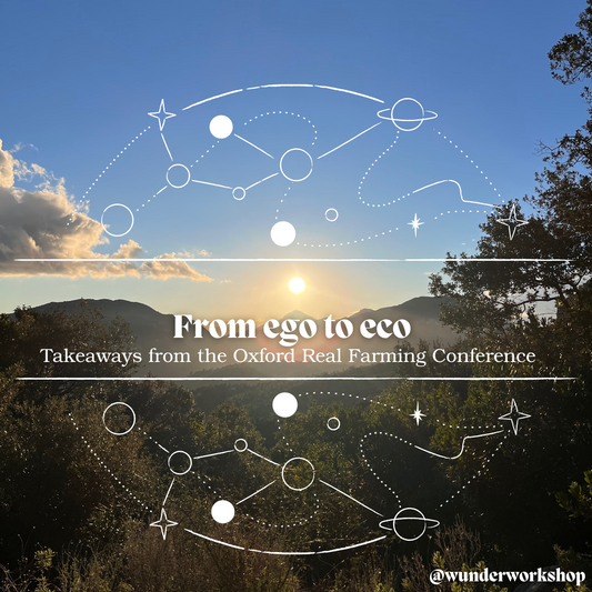 From Ego to Eco - takeaways from ORFC - Wunder Workshop