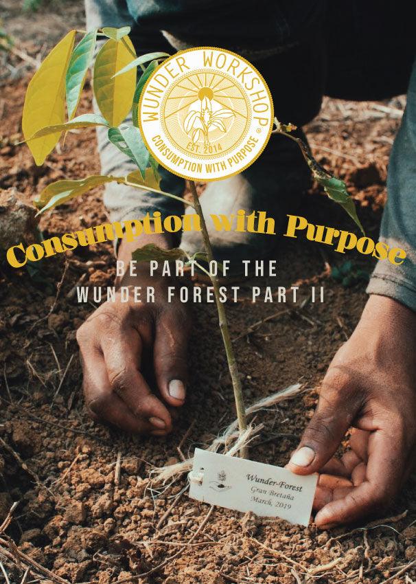 PLANT A TREE IN THE WUNDER FOREST - Wunder Workshop