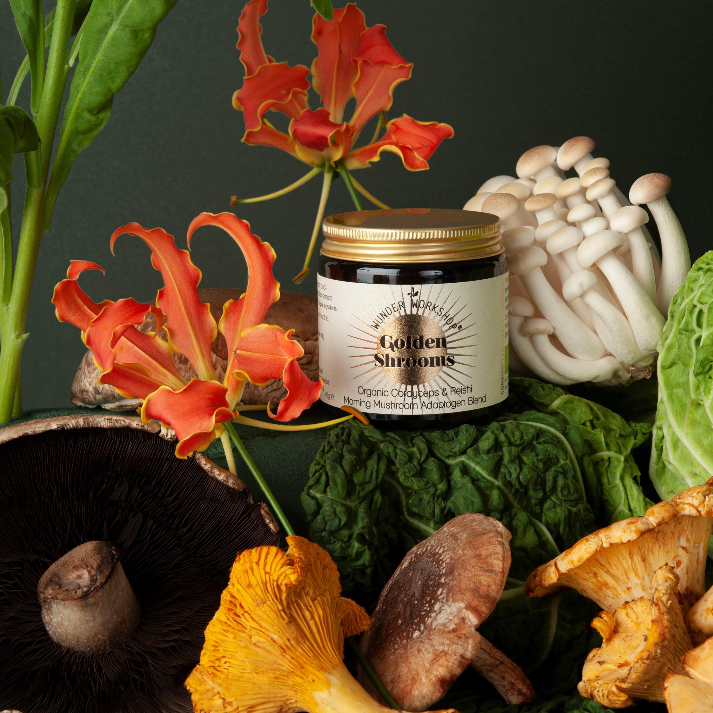 Mushrooms – Wunder Workshop